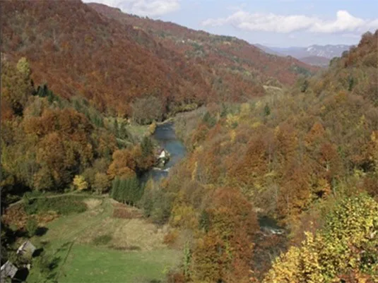 Рысняк национальный парк