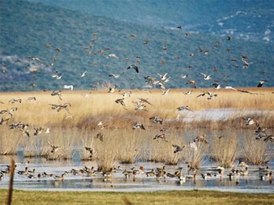 Вранско Озеро природный парк