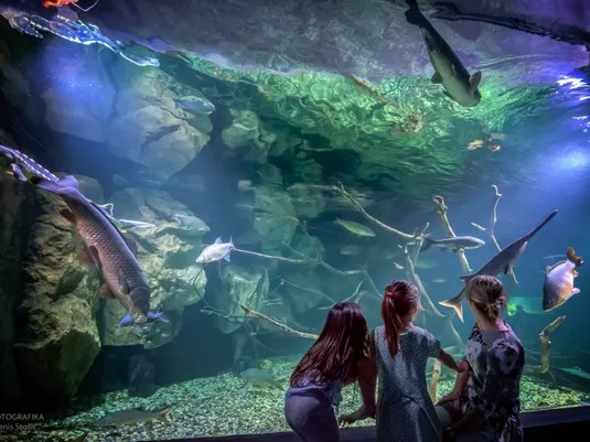 Aquatika пресноводный океанариум в Карловац